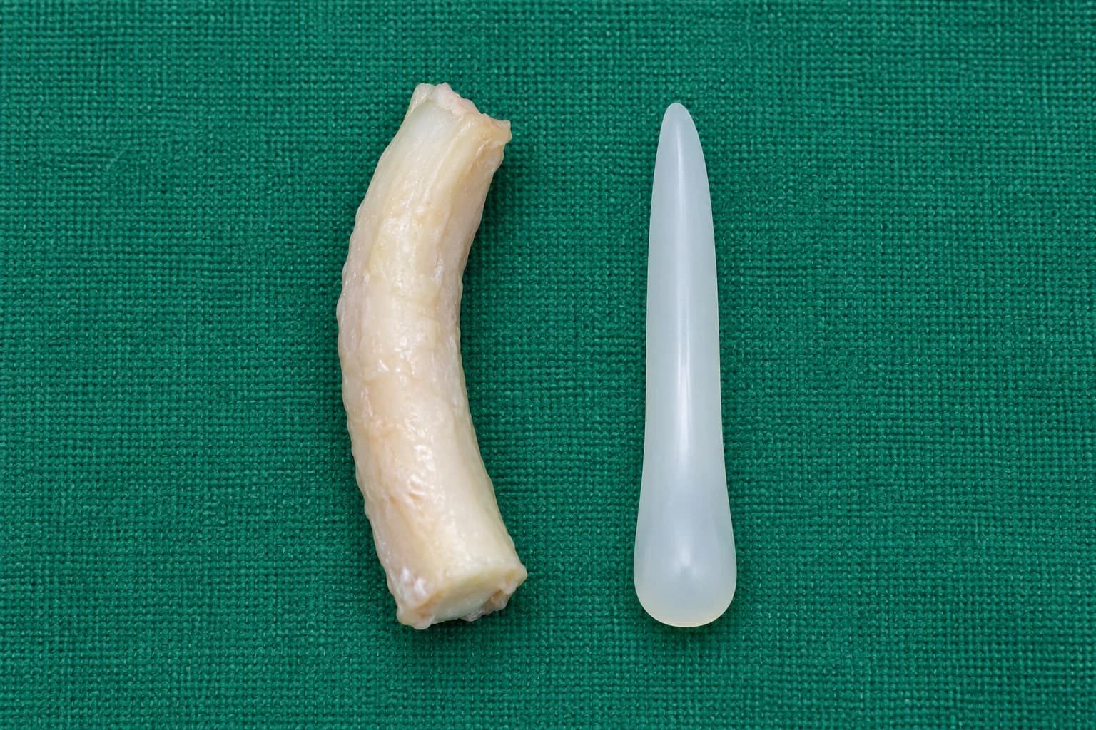 Educational illustration of rib cartilage on the left and a silicone nasal implant on the right, on a green surgical drape